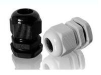 ���������ܷ����ͷ