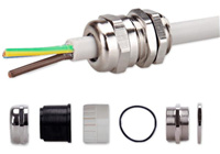 ��ͭ�������¸���ͷ